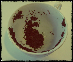 paranormal investigator Michelle McKay