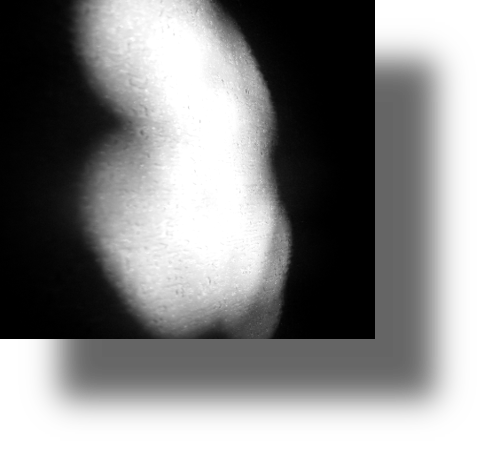 Grand Prairie ghosts haunted paranormal Alberta Canada