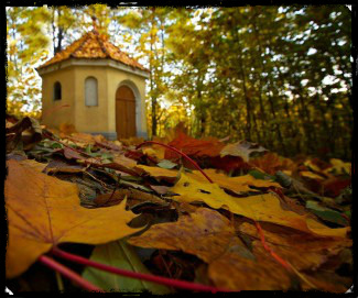 Michelle McKay autumn